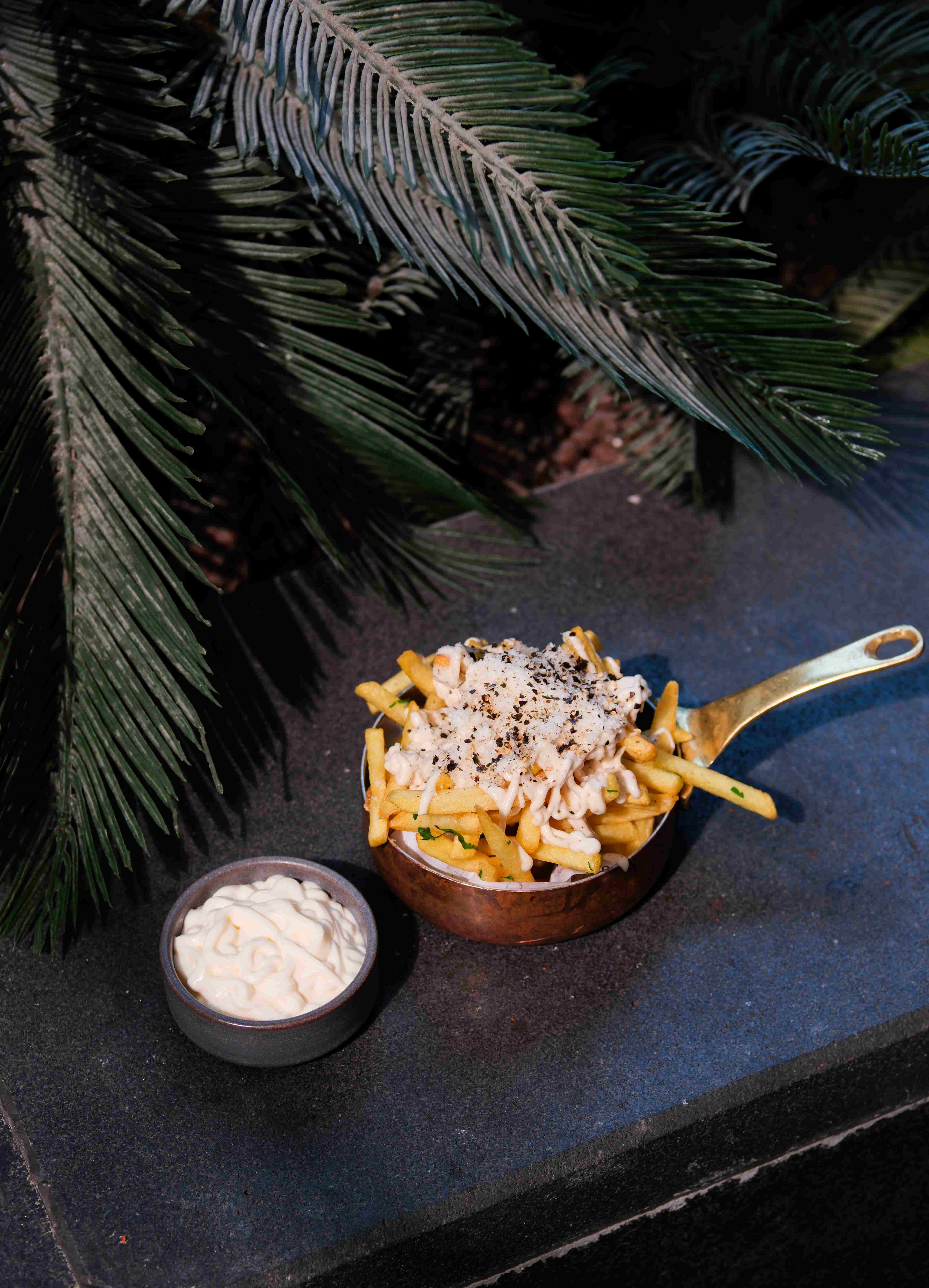 Truffle And parmesan Cheese French fries